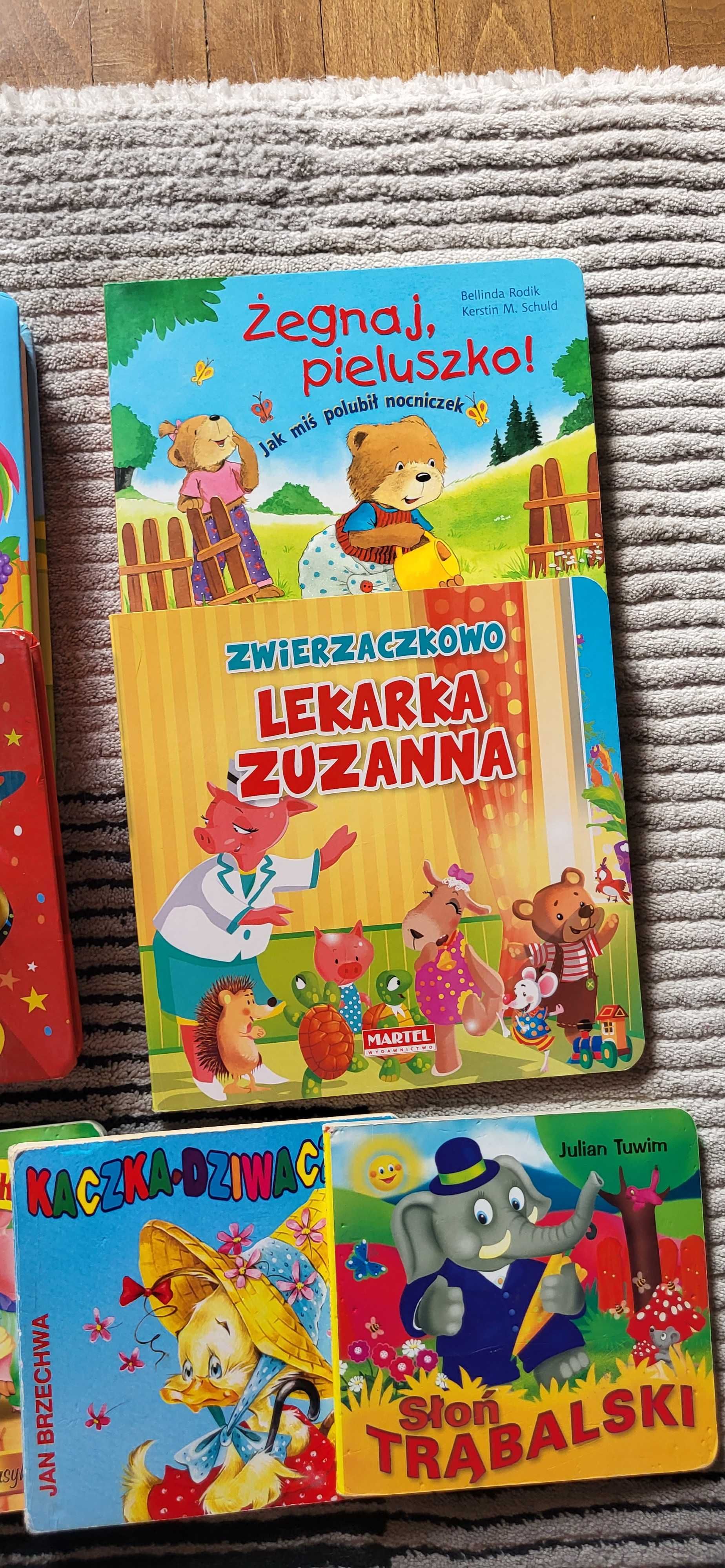 Książeczki edukacyjne dla malucha - zestaw 12 szt - otwierane okienka