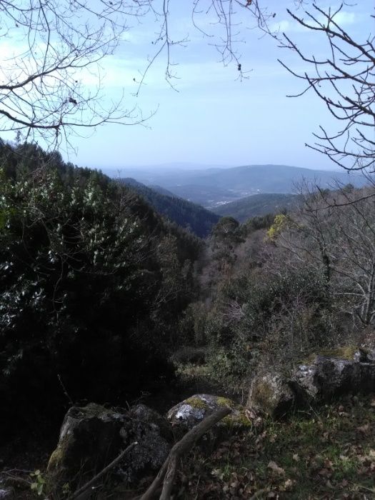 casa em pedra para recuperar -Pomar da serra-Espinhal