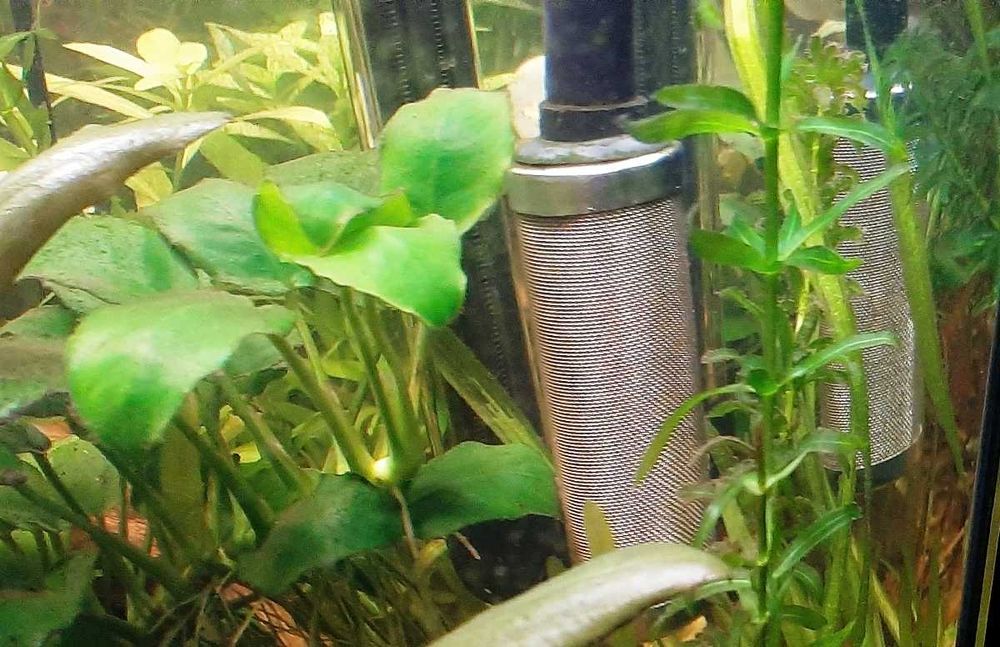 Rede de Pré-filtro em aço inoxidável