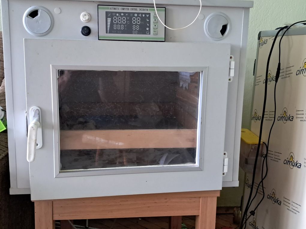 Inkubator automatyczny