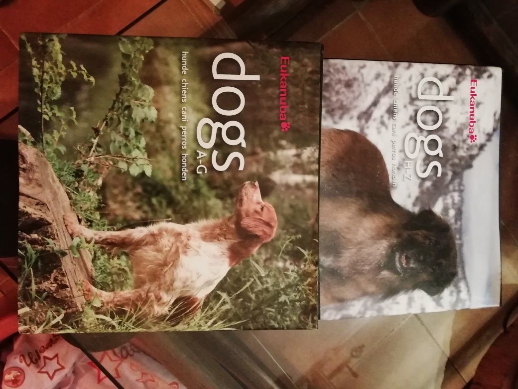 Livro de raças de cães