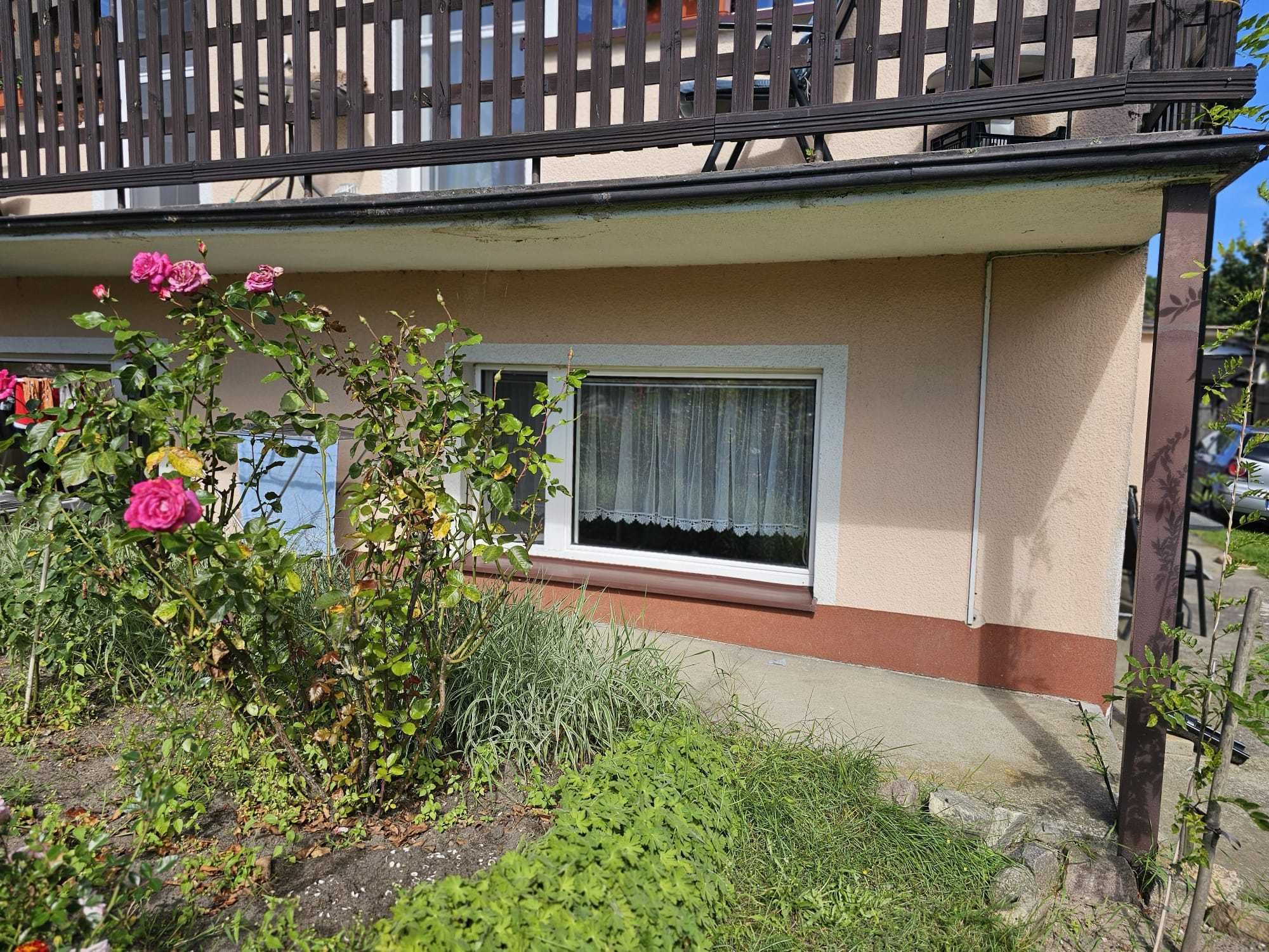Pokój nad morzem do wynajęcia