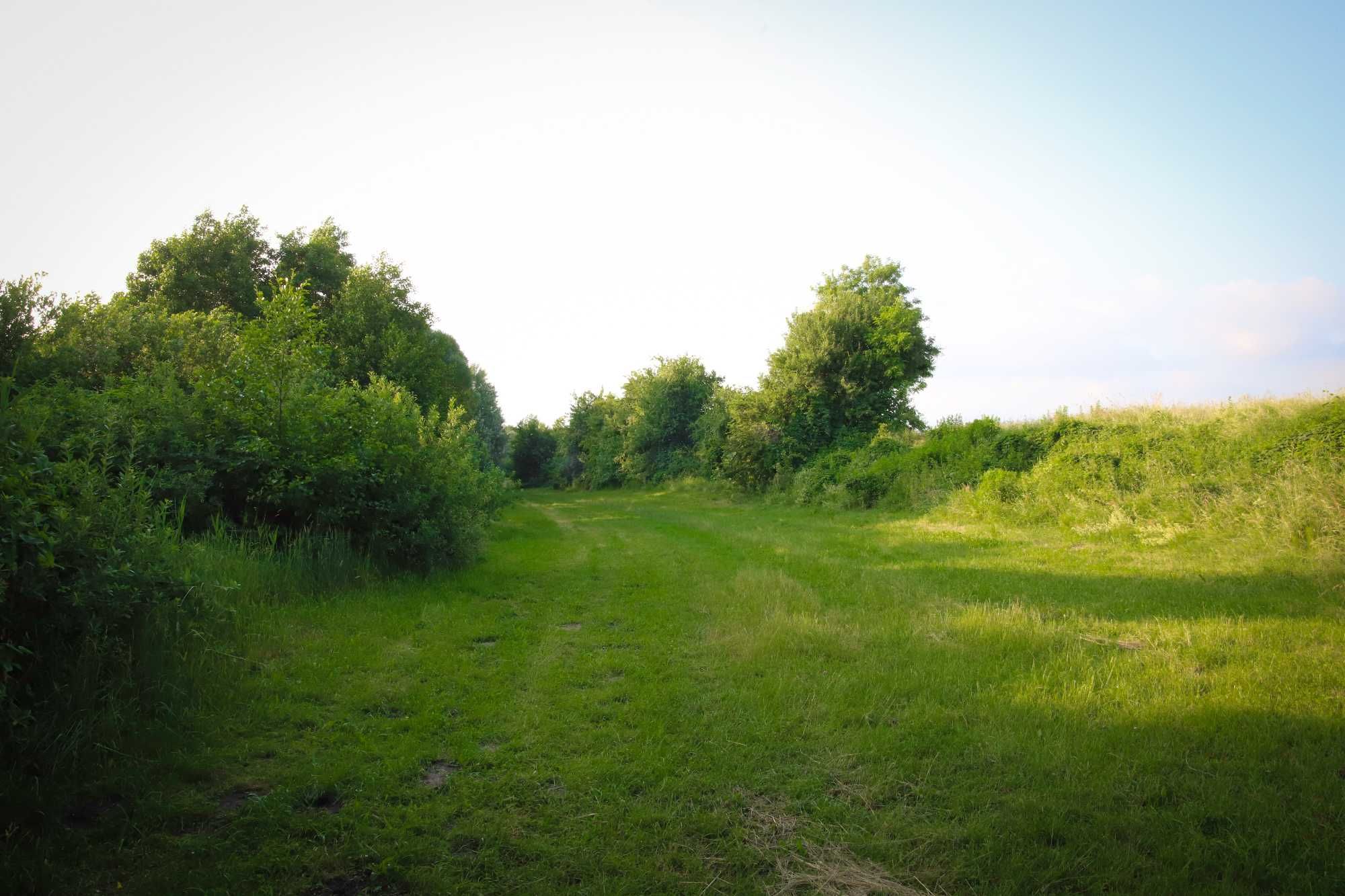 Domek nad jeziorem powidzkim - DARDOM