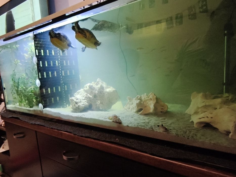 Akwarium 375 l z całym inwentarzem