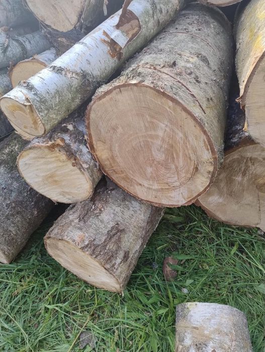Drewno kominkowe opałowe