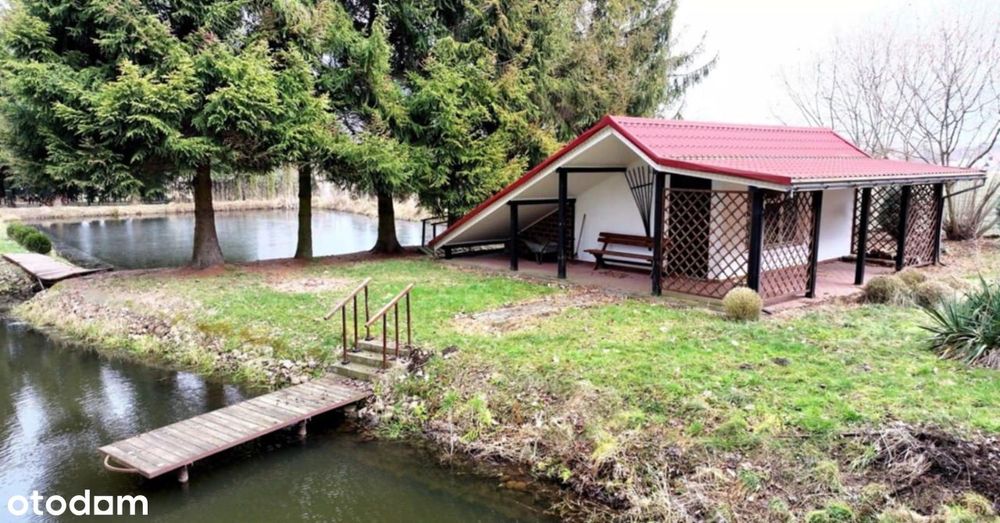 Rynarcice 2 zarybione stawy, cisza, las. Piękna działka z potencjałem!