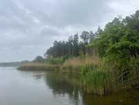 Продажа участка 108соток Вода Лес Таценки/земельна ділянка Ліс Вода