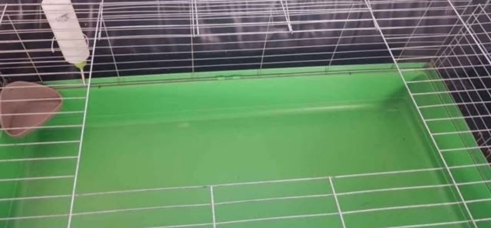 Duża klatka dla królika, świnki morskiej