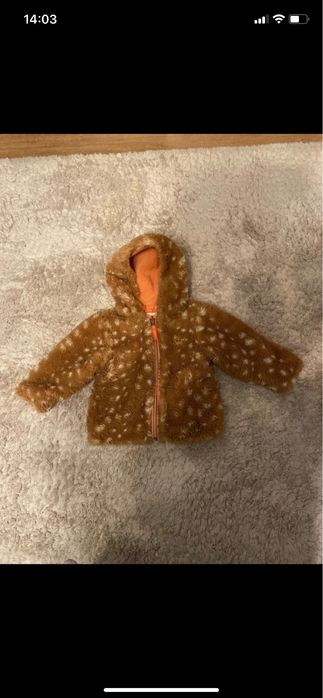 Kurteczka rozm 74
