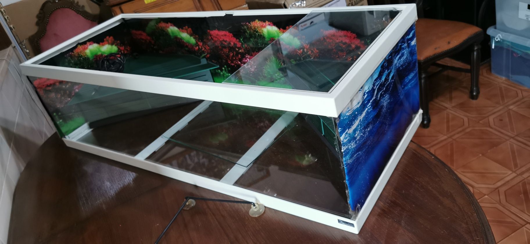 Aquário Aquatlantis