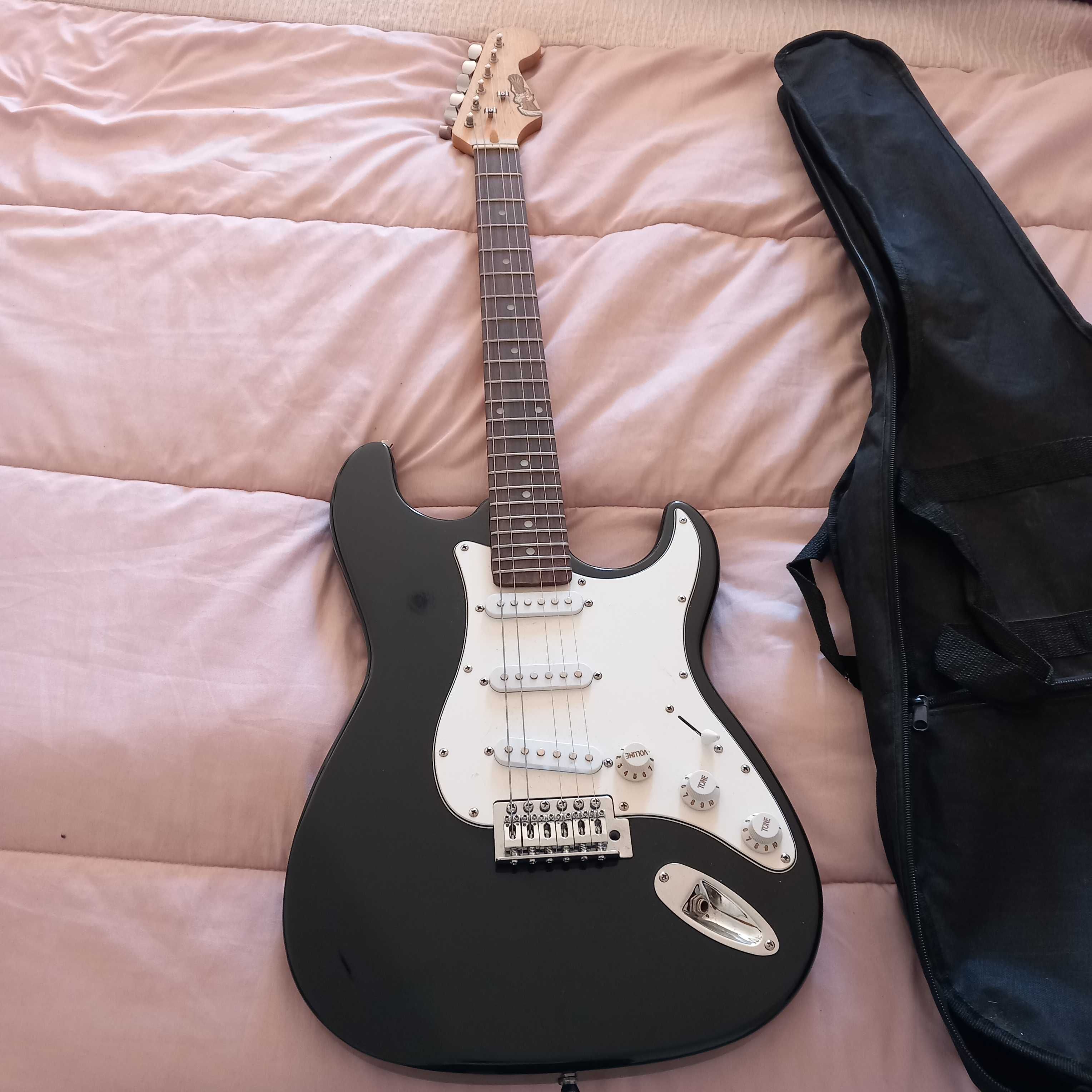 Vendo guitarra  com a capa