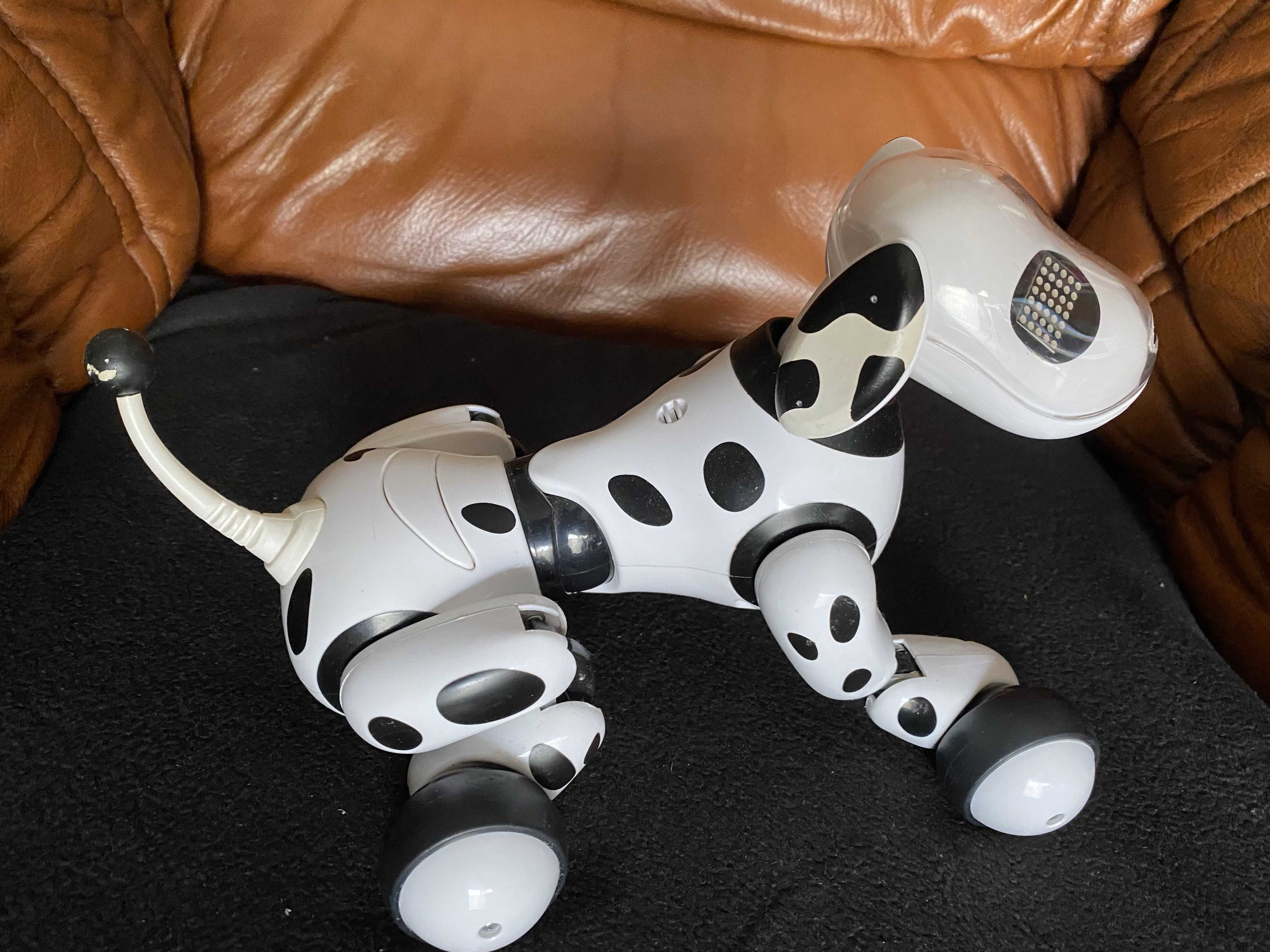 Cão Zoomer eletrônico - Robot Interativo