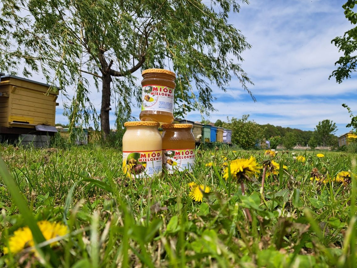 Miód pszczeli naturalny