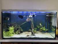 Akwarium 250l 100x50x50