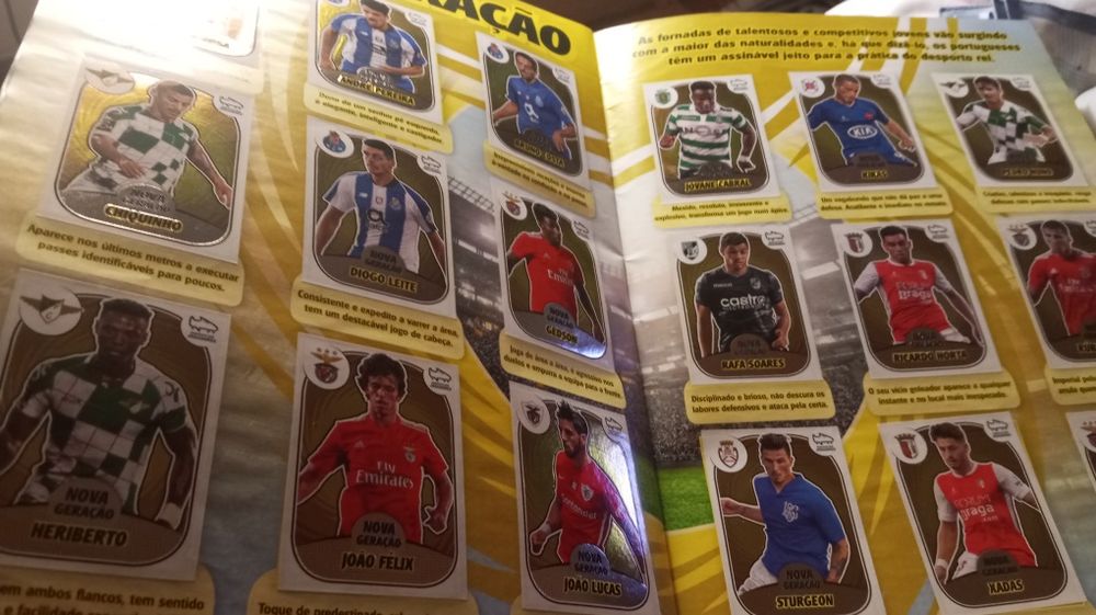 Liga portuguesa 2018/2019