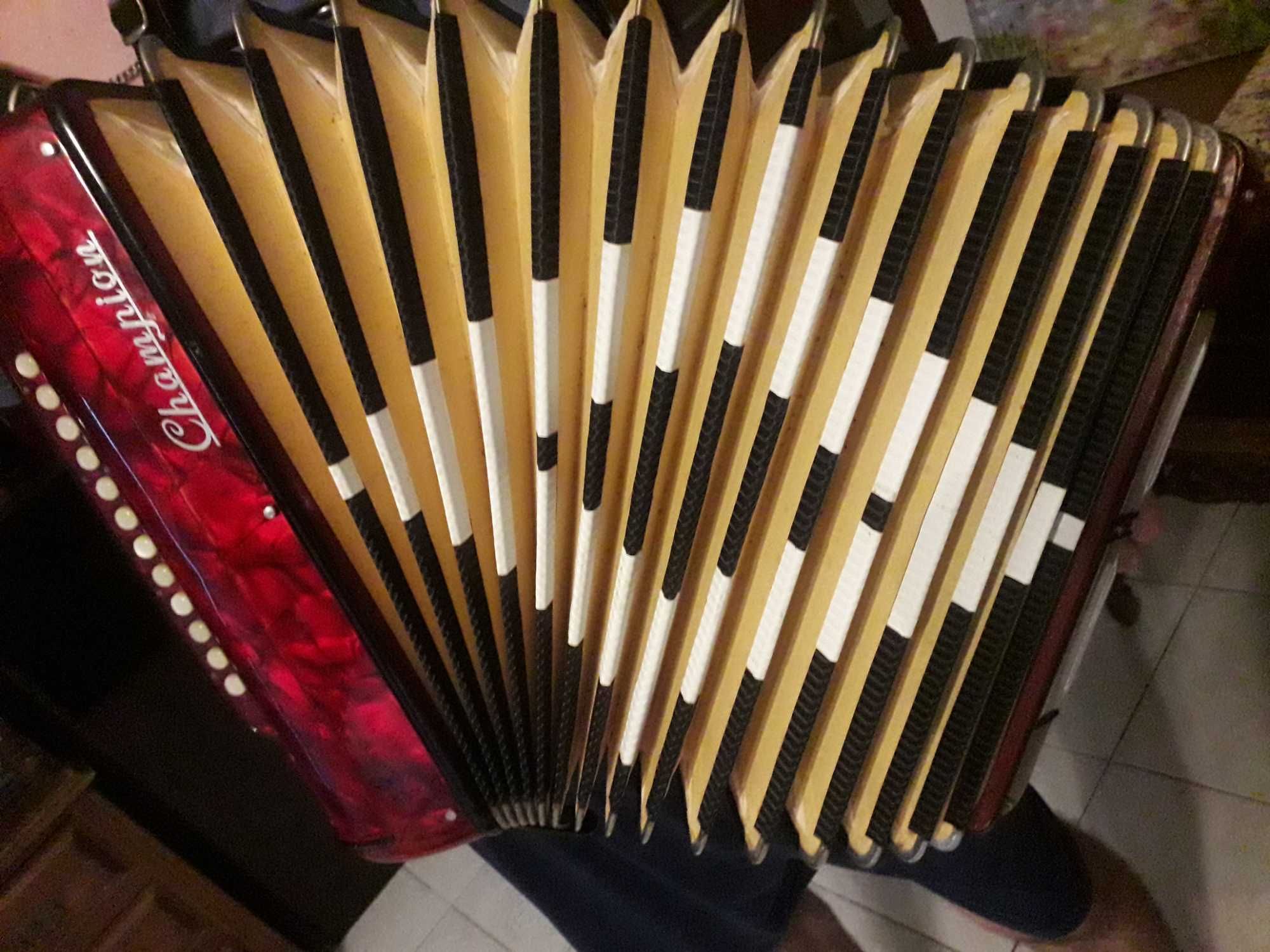 Concertina acordeon