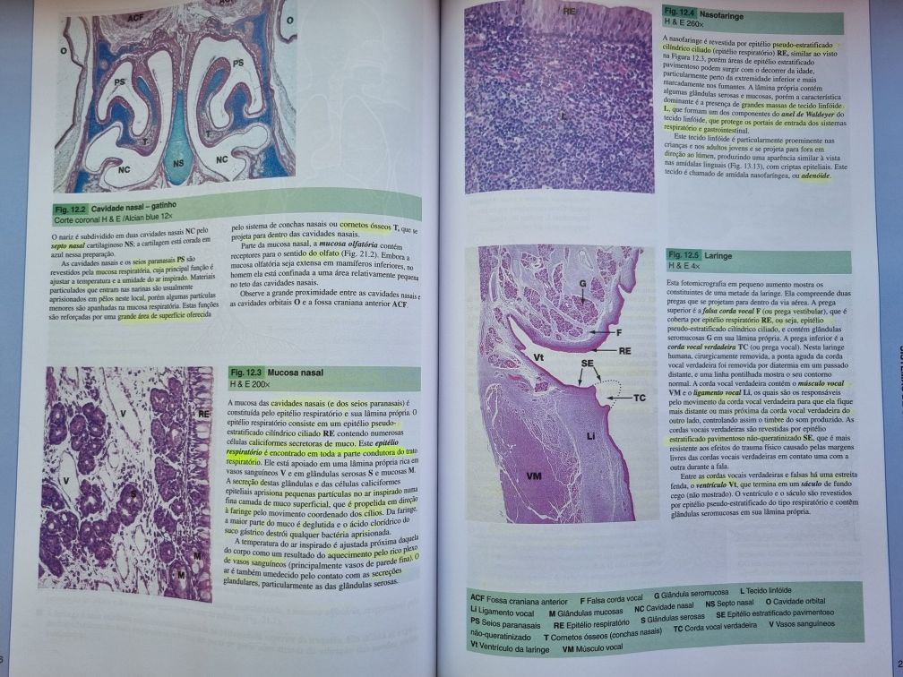 Livro WEATHER Histologia Funcional português 5.° edição