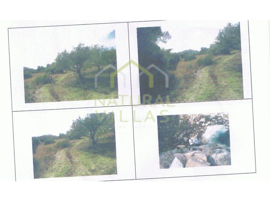 Terreno Rústico nas proximidades de Loulé