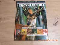Encyklopedia Przyrody -Tom 37  Zwierzęta -Ssaki -anatomia i zachowania