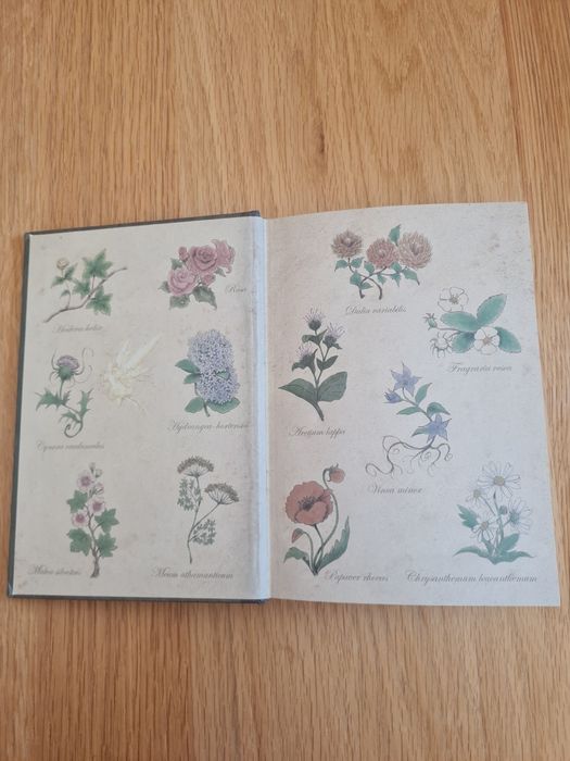 Fairy Oak: o segredo das gémeas