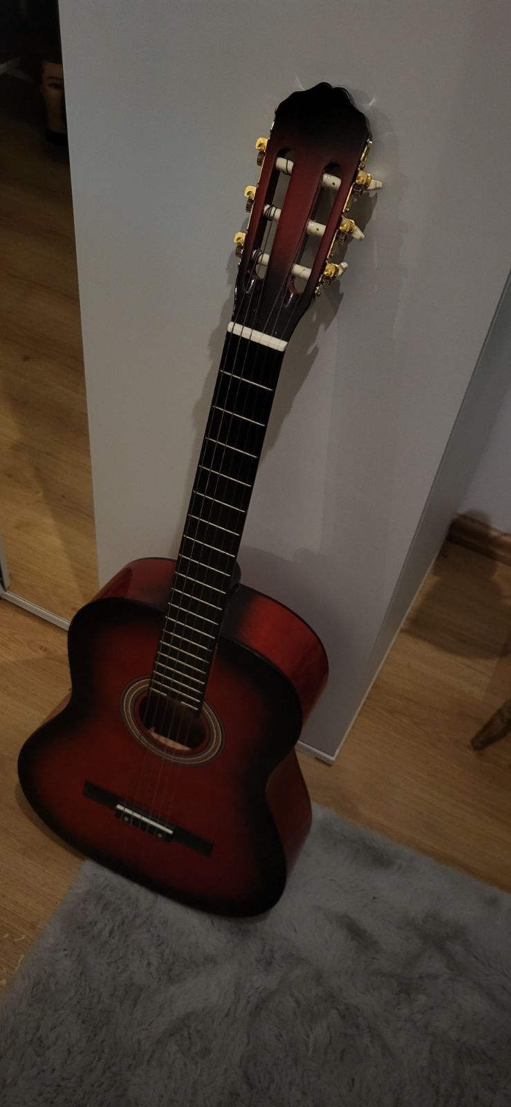 Gitara + pokrowiec