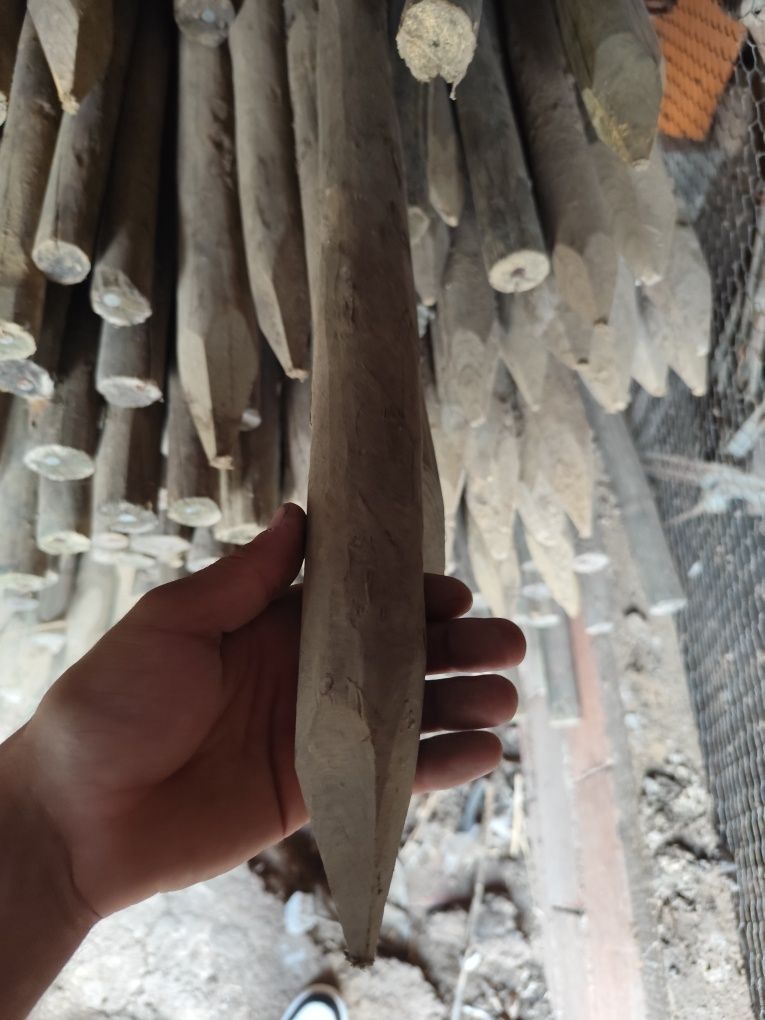 Estacas tratadas 2M