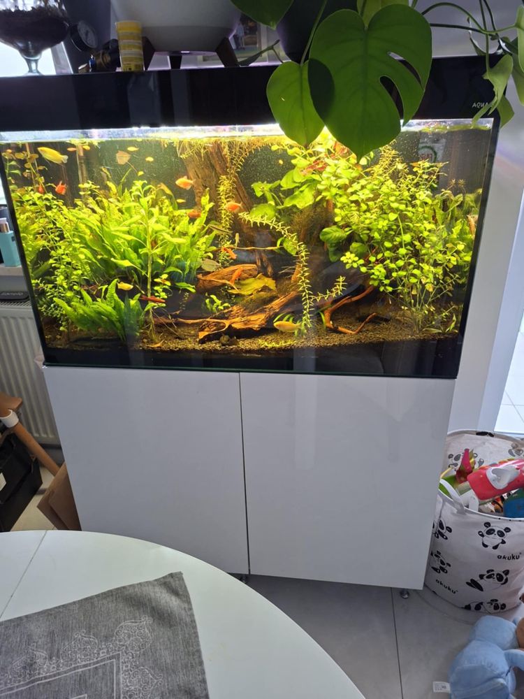 Sprzedam akwarium 240l