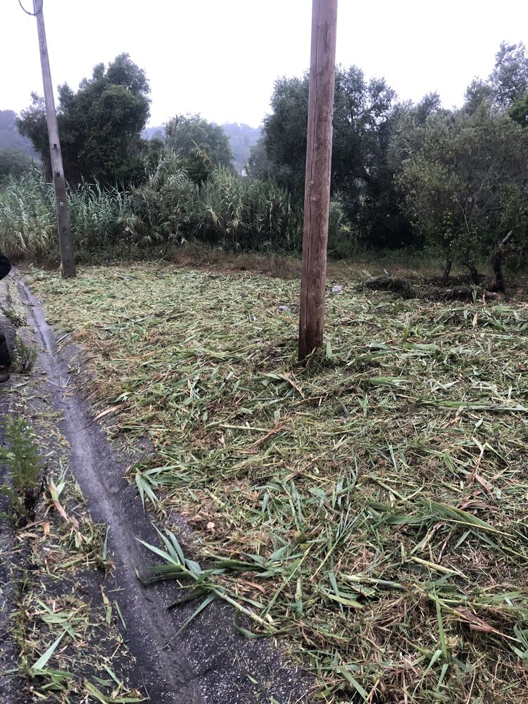 Limpeza terrenos e corte arvores