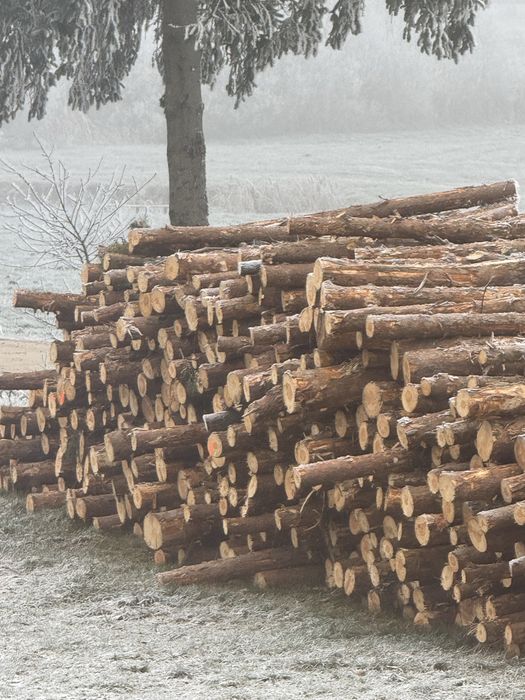 Drewno opałowe sosnowe