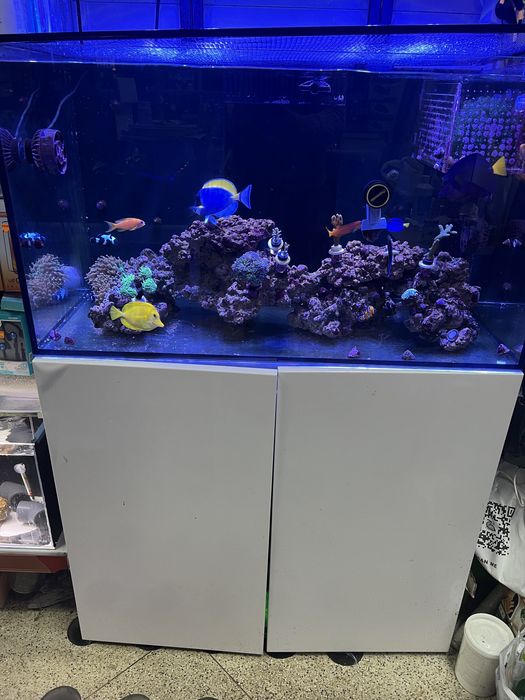 TMC reef habitat 90 e equipamentos para aquarios desde 10€