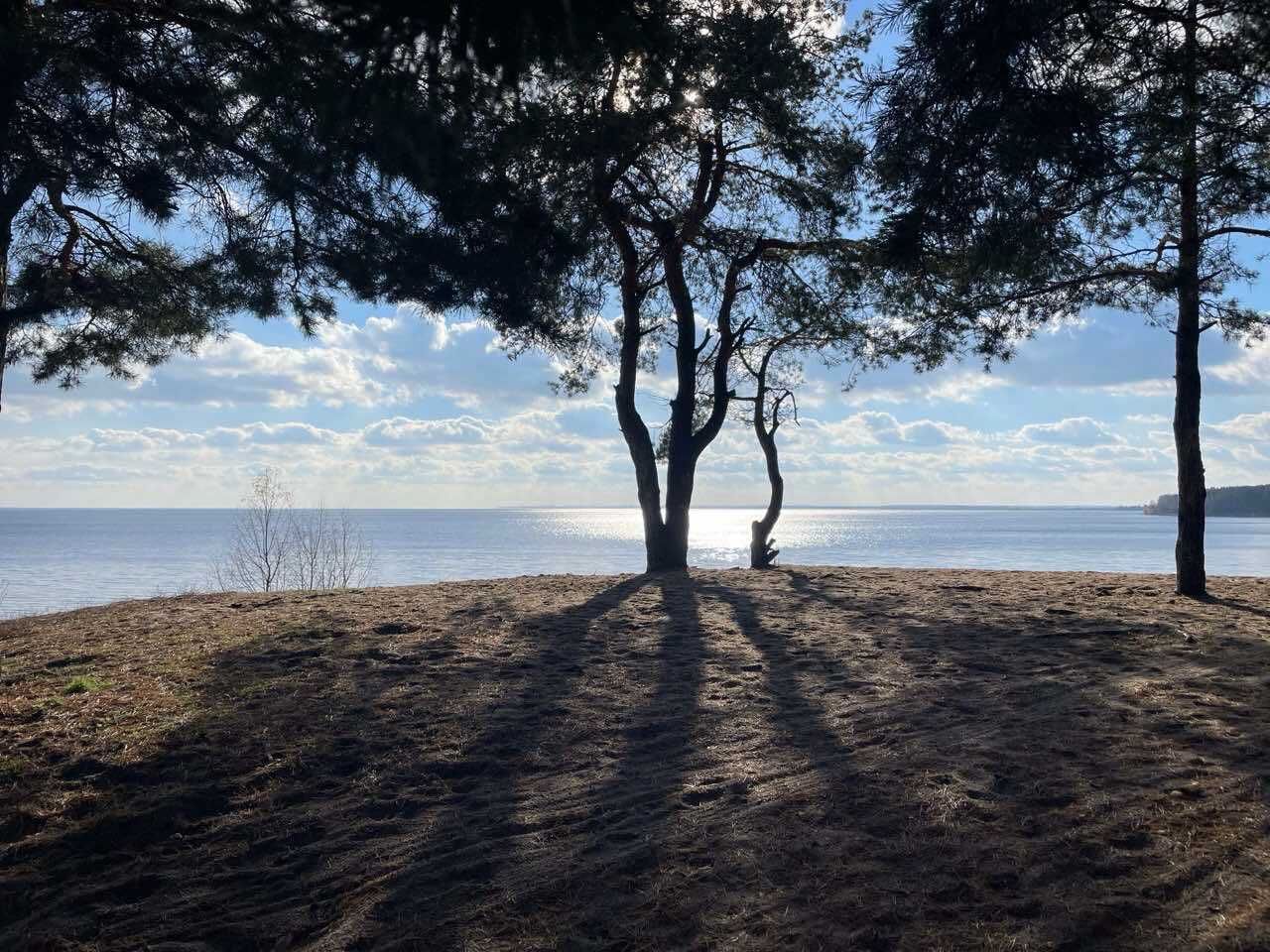 Дачний будинок, Ясногородка , Вишгородський район.