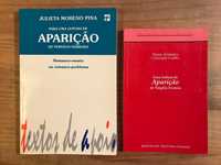 (2 livros) Para uma Leitura de Aparição - Vergílio Ferreira (p grátis)