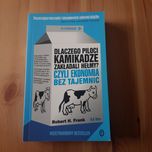 Dlaczego piloci  kamikadze zakładali hełmy? Czyli ekonomia bez tajemni