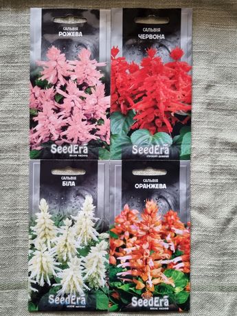 Сальвия, семена цветов дешево, набор 4 цвета, SeedEra насіння сальвія
