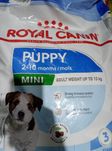 Royal Canin Mini Puppy - Сухий корм для цуценят маленьких порід 8кг