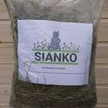 Sianko dla pupila