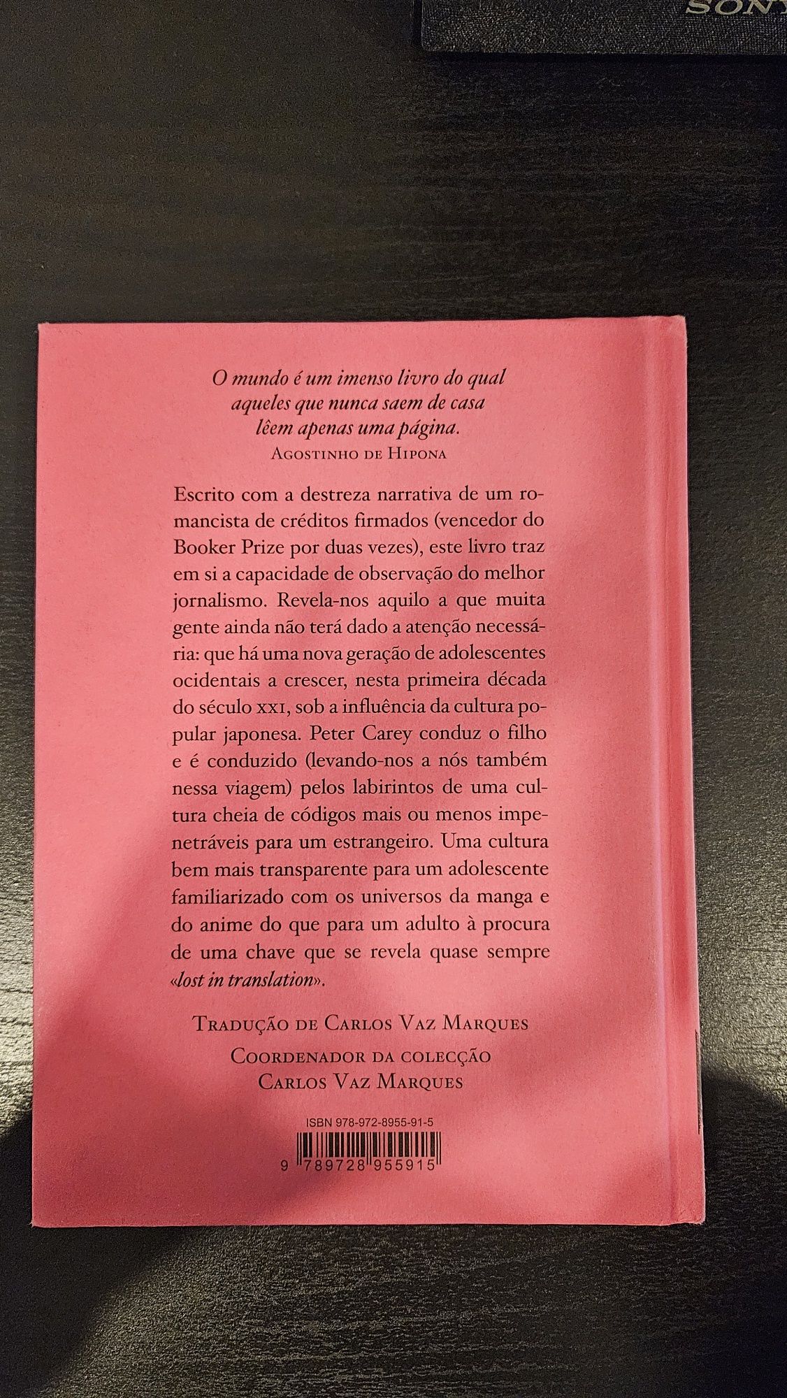 O Japão é um lugar estranho, Peter Carey