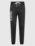 Alpha Industries Spodnie dresowe Basic Czarny Regular Fit  roz. XL