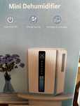 Портативний осушувач повітря 2,5 л Dehumidifier DH01-D