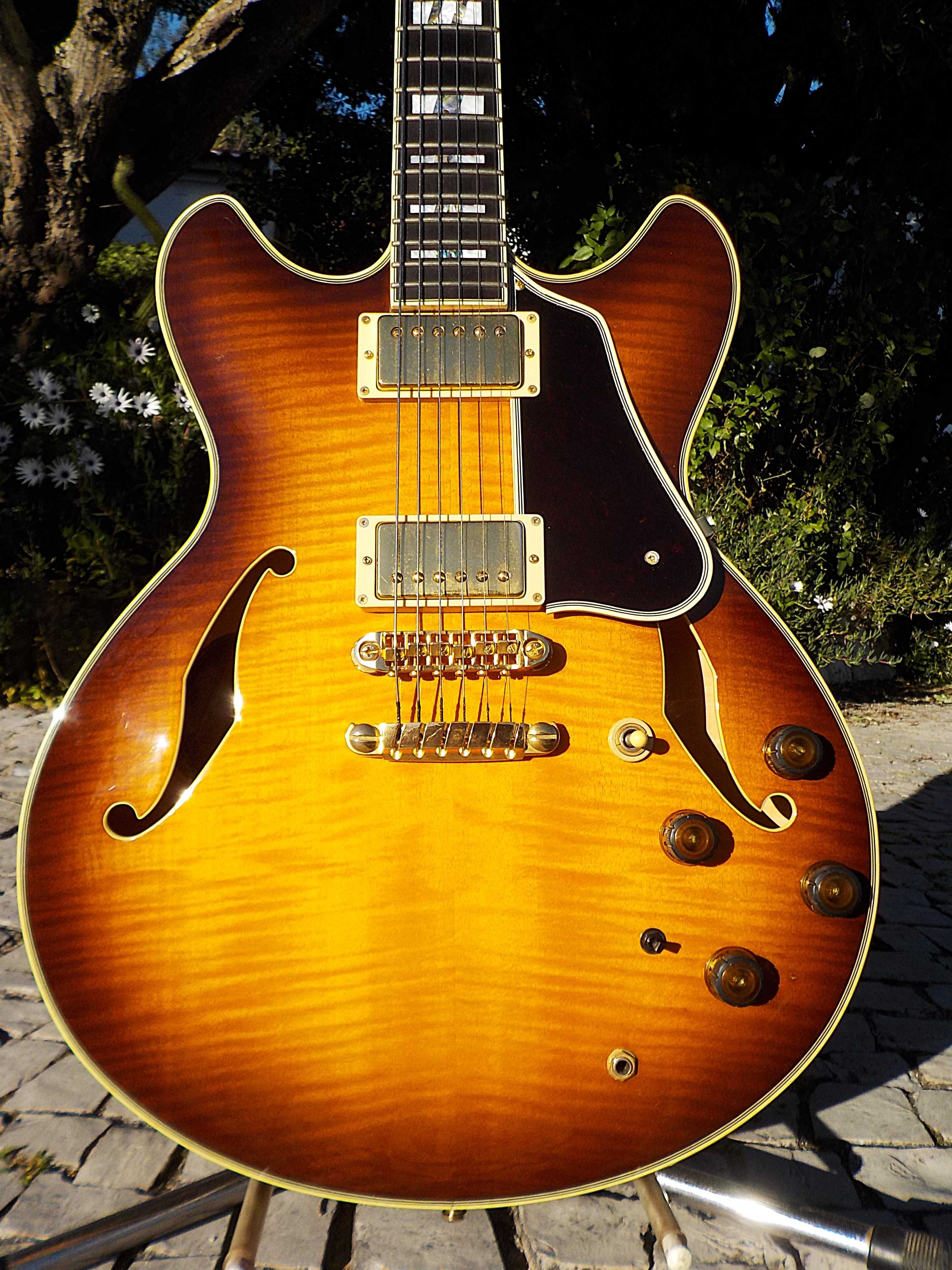 Guitarra coleção Ibanez Fender Guild J Joye