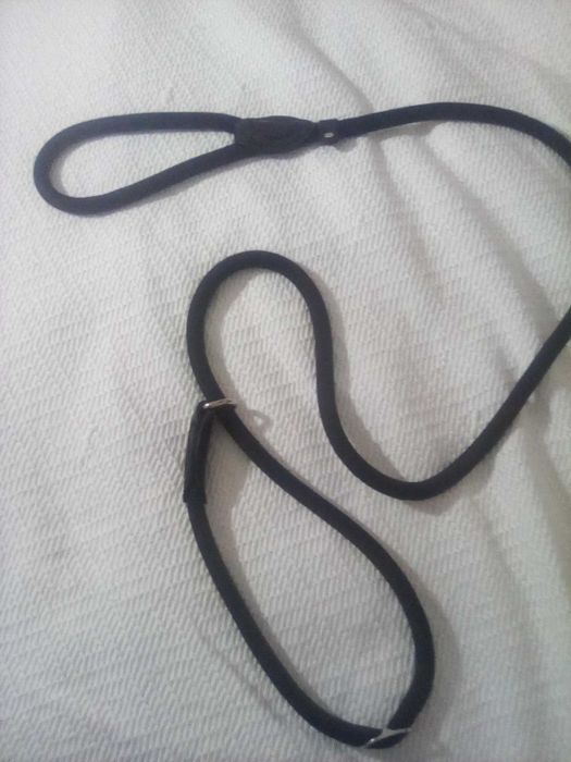 Trela para cães com estrangulador
