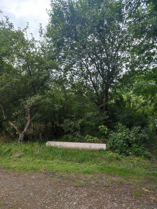 Ділянка Дача Дем'янів Лаз