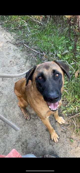 Meninao para super família carinhosa