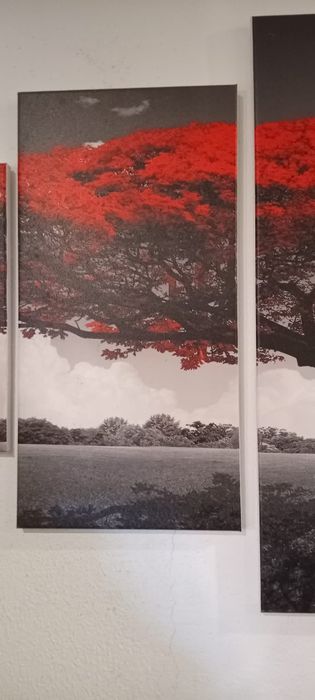 Quadro de decoração 1,62×80