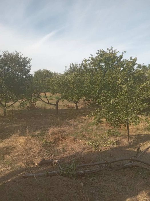 Продам Будинок Лиса Гора