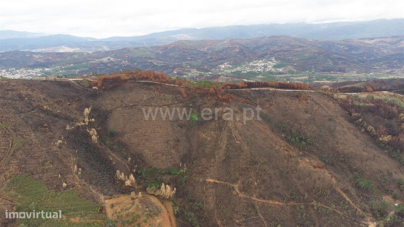 Terreno / Fundão, Telhado