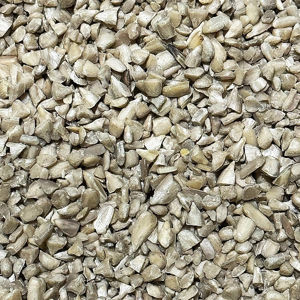 5kg Słonecznik łuskany 99% ziarno dla papug ptaków egzotycznych Champi