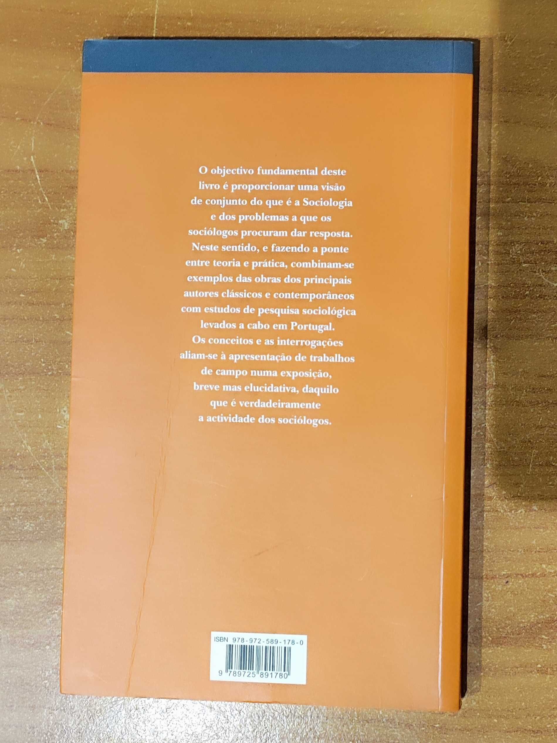 Livro "Sociologia" | António Firmino da Costa