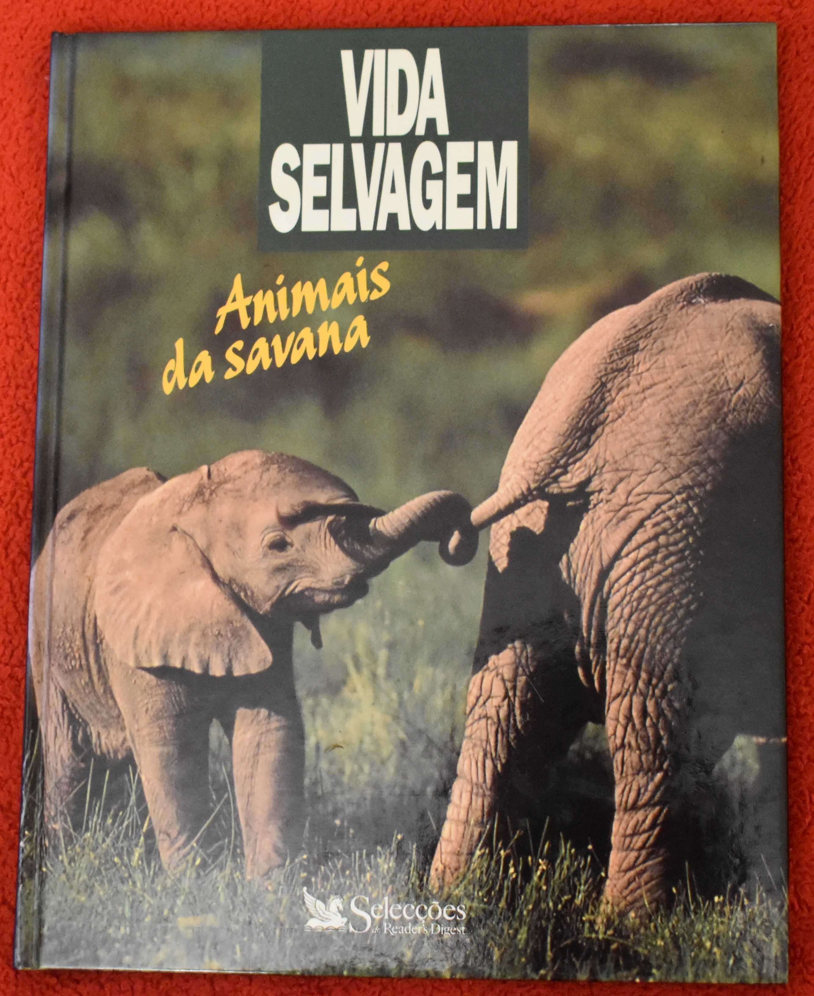 Vida Selvagem - Animais das Savana