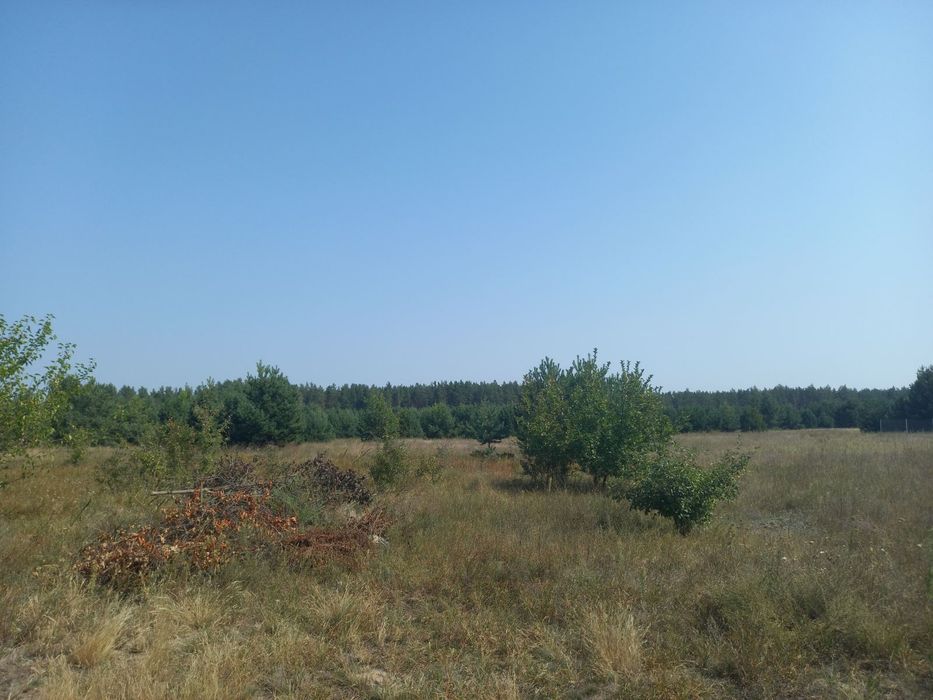 Ділянка правильної форми